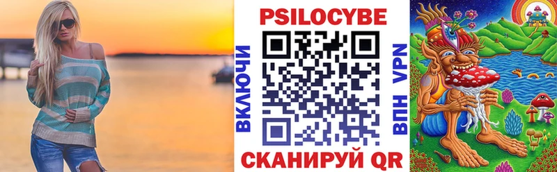 Купить где  Бабаево  Псилоцибиновые грибы Psilocybe 