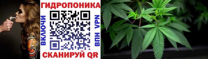 Каннабис гибрид  Купить где  Бабаево 